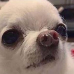 Meet your Posher, Claire